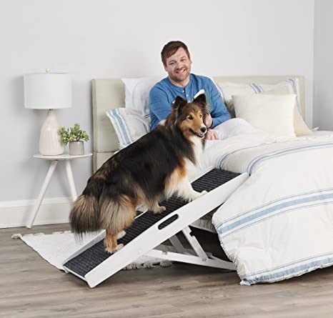 Bed Ramp for a Dog 